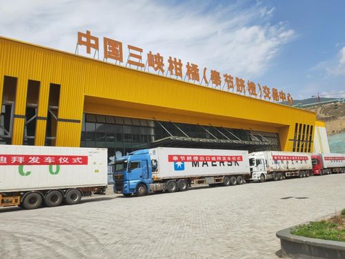 金橙飘香拓眼界，重庆奉节品牌添翼促产业焕发新机